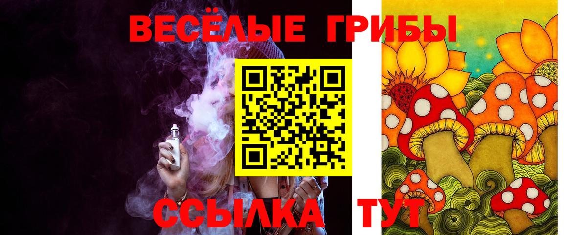 Янаул  Галлюциногенные грибы прущие грибы  Вход с VPN 