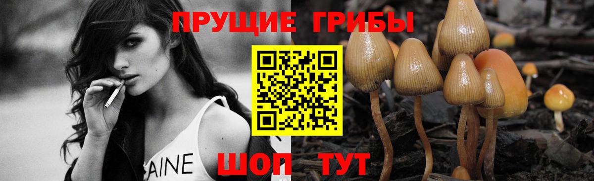 Псилоцибиновые грибы GOLDEN TEACHER Янаул